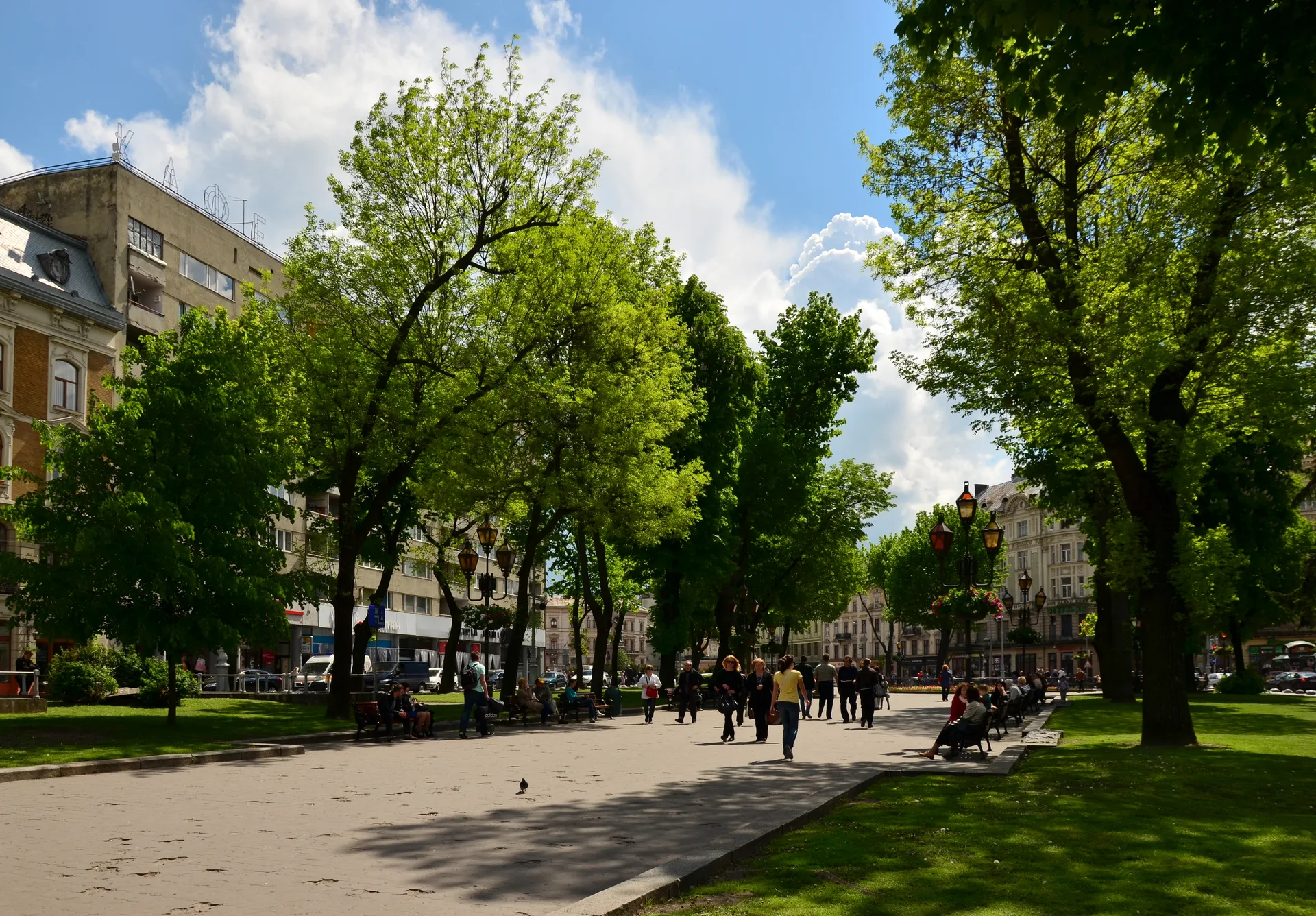 Liberty Avenue in Lviv — chestnut-lined pedestrian boulevard
